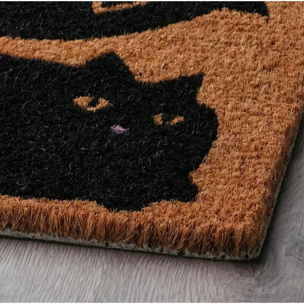 IKEA VÄGTYP VAGTYP Door Mat, Cat Black/Natural, 2'0
